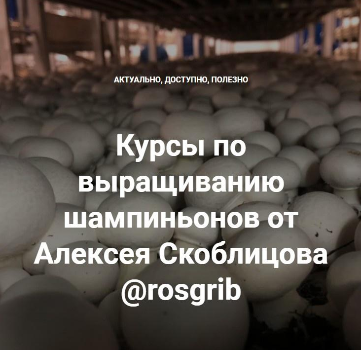 [Алексей Скоблицов] Курсы по выращиванию шампиньон_0.png